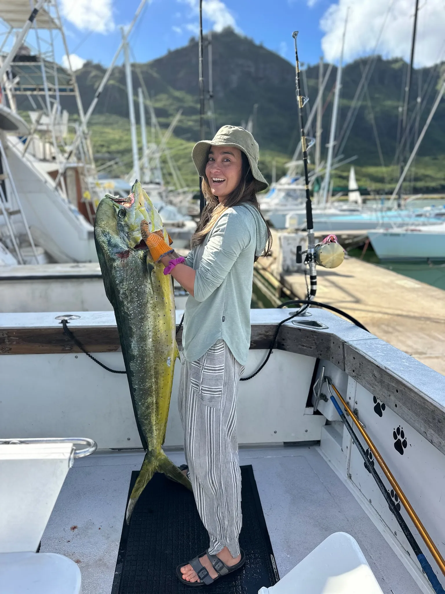 Large yellowfin ahi tuna on the Emma Nalani, Go Fish Kauai