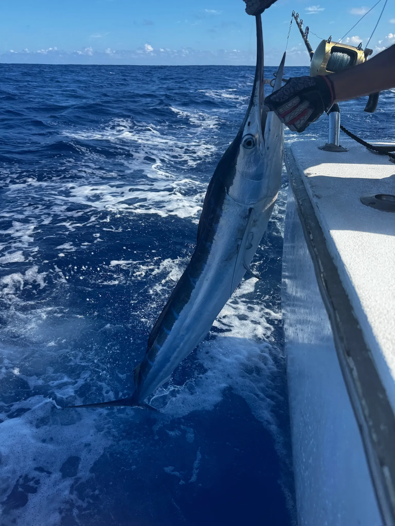 Ono wahoo fish catch on the Emma Nalani, Go Fish Kauai